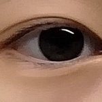 <b>눈알</b>이 예쁜애
