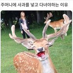 [댓글부탁해] 남자애들 <b>말투</b> 웅웅거리는 거
