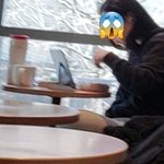 카공+식사<b>족</b> 발견