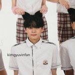 렌즈 추반좀 <b>빛삭</b>