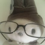 <b>염색</b> 서울에서 하는 게 좋음?ㅠㅠ