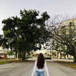 라필루스 <b>서원</b> 비율 대박이다