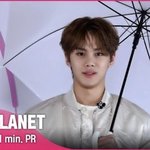 [NCT칠프] 보플 규빈 이해찬 닮았는데?