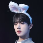 나 이번에 보플 싹 정주행 할건데 투표픽 추천좀