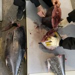 <b>분리</b>수거하다가 통으로 된 생 참치 받은 썰..