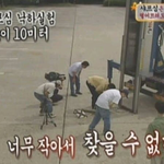 광기 그 자체였던 옛날 예능 방송