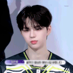 우리 <b>사자</b>님 보고 진정해