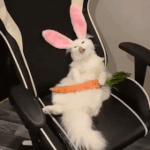 [댓글부탁해] <b>생산</b>적이 일이 뭐 있지?