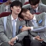애들은 <b>후이</b> 좋다는데 왜 니들끼리 난리임?