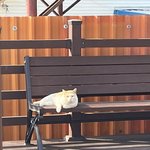 [19] 나 콩깍지 ㄹㅇ ㅈ댐