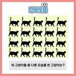 이거 <b>대체</b> 뭐가 다른거임??