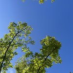 [드루와] 얘들아 고백은 역시 용기가 중요한거 같다