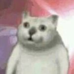 [댓글부탁해] 중저가 브랜드 <b>지갑</b> ㅊㅊ좀.   ㅠㅠ