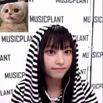 [모두드루와] 고먐미 <b>해린</b>이는