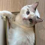 [댓글부탁해] 경찰관 <b>이모</b>한테 들은 악플썰