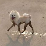 [댓글부탁해] 혹시 학점은<b>행제</b> 하고 대학 편입할 생각 있는 판녀...