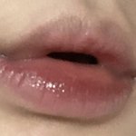 피그피그 <b>여</b><b>쿨</b>이야?