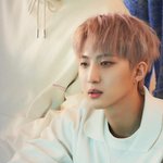 후이는 <b>헤어</b> 스타일링