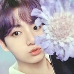 [군대] 폰 <b>사진첩</b> 열었는데 이거 뜸