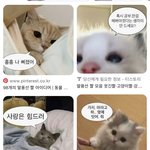 [댓글부탁해] 유독 06년생 중에서 이런 애들이 많은 듯