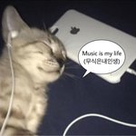 나 고등학교 가서 어<b>카지</b>ㅜ