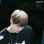 강다니엘은 <b>전형</b>적인 남자들이 절대 인정 안하는 얼굴인 듯