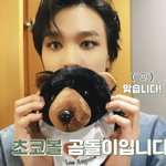 [NCT드림] 해찬이 초<b>코볼</b> 곰돌이
