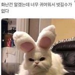 [댓글부탁해] 하트시그널2 있잖아