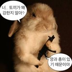 [드루와] 자식 호구취급하는 내로남불 엄마 어캄?