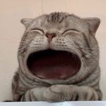 [댓글부탁해] 내 입술 필러 맞은것같이생김?