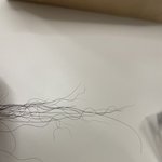 얘들아 머리탄거는 복구 못하냐?ㅜ