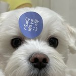 안녕하세요