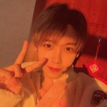 장<b>슈</b>아이보는 좀