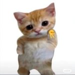 라코스테나 <b>폴로</b>같이 비싼 옷에