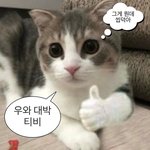 [19] <b>큰일</b>났다!!!!!!!!!!