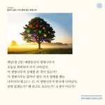 [꼭좀읽어줘] [진짜바로<b>알자</b>성경과신천지] 달마다 12가지 열매맺는...