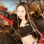 트와이스 미니12집 SET <b>ME</b> FREE 컨셉포토