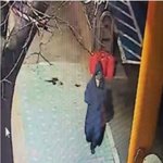 20대 여성 한 달 넘게 실종…경찰 공개 수사 검토