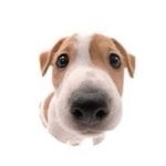 몇키로 같음?ㅜㅜ