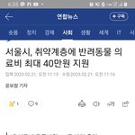 수급자가 반려<b>동물</b> 의료비지원