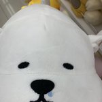 지<b>돈</b>술<<<b>이</b> 무슨뜻일까
