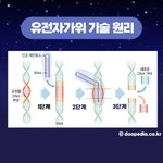 [드루와] 크리스퍼 유전자 가위 알아?