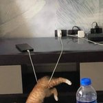 나 알바하는 데서 ㅈㄴ 눈새인 거냐?