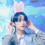 보플 숨겨진 <b>연생</b> 추천