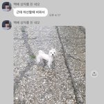 나 많이 눈새임?