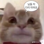 <b>개심</b>심하다 너네 다 뭐함
