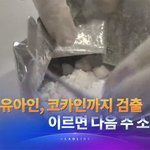 <b>유아</b>인 코카인 검출됐대