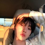 보<b>플</b>에 이런 얼굴상 없냐
