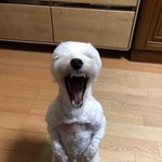 나보다 더 불쌍한 사람 잇으면 나와 봐ㅜㅜㅜㅠㅠ