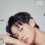 [엔터톡] 보플 차이진신 제발 뽑아줘